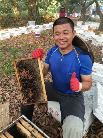 岡山養蜂產銷班長陳保存表示，今年龍眼蜂蜜僅較去年增加二到三成，還不到正常年產量。   圖：高雄市農業局/提供