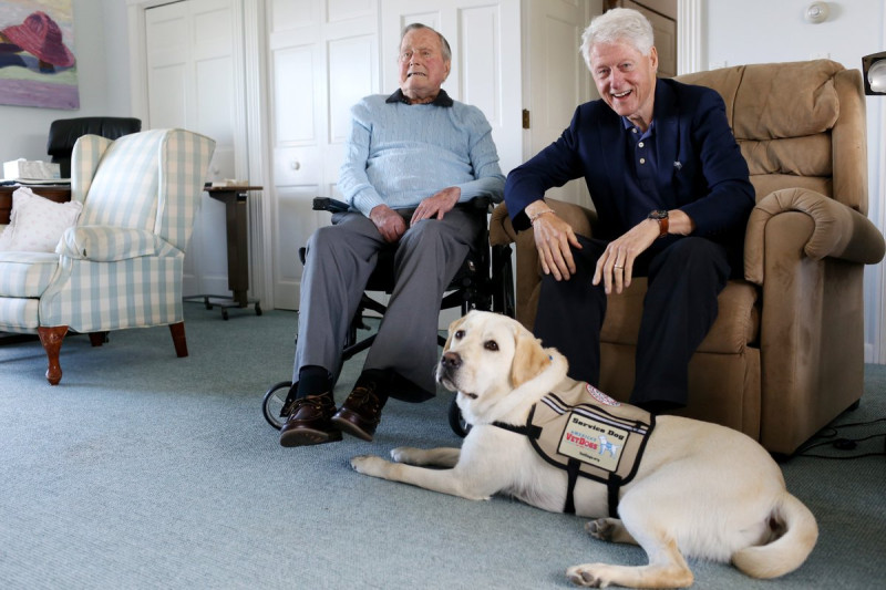 美國最長壽前總統老布希（左）日前開心接待另1位前總統柯林頓來訪，並宣布新成員「Sully」。   圖：翻攝老布希推特