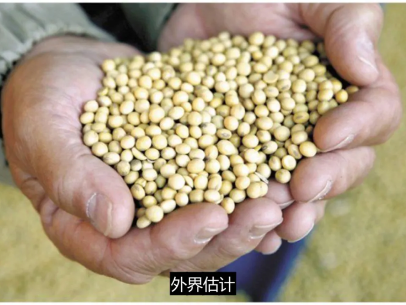 中國是世界最大的大豆進口國，由於豬瘟疫情蔓延，進口量急降，美國大豆農民因此受到影響。   圖：翻攝自Youtube