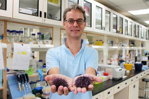 長庚大學生物醫學系教授傅崇安，成功的在加州紫海膽中找到AID/APOBEC基因。   圖 : 長庚大學/提供