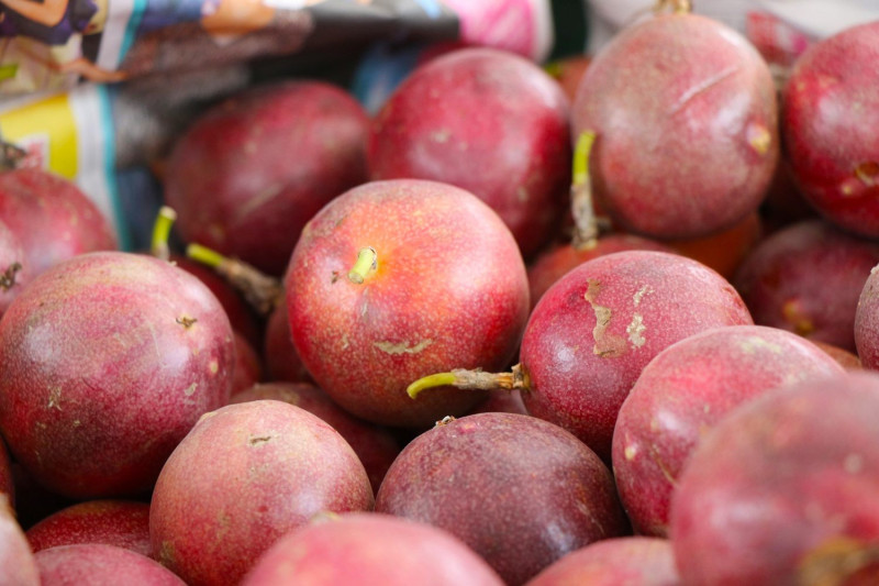八月花博農民市集中，集結各縣市產地直送的當季消暑水果。   圖：台北市產業發展局提供