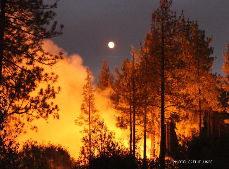 這場23日爆發的野火目前只有17%受到控制，數萬英畝土地化為滿是灰燼的荒地。   圖：翻攝自加州森林防火廳（Cal Fire）推特/USFS