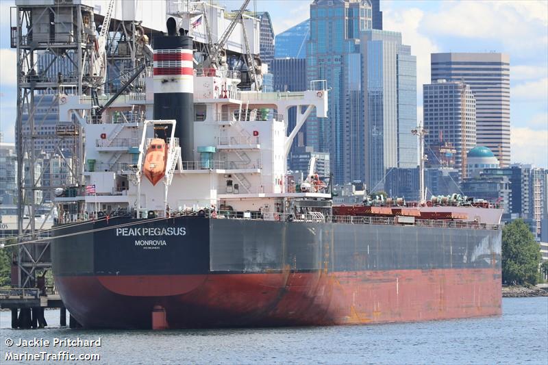 外電報導，載有價值2000 萬美元大豆的「飛馬峰號」已經進入中國大連港，準備卸貨。   圖：翻攝MarineTraffic.com/Jackie Pritchard
