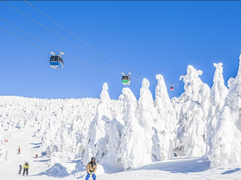 日本滑雪營行程，直飛離各大雪場最近的機場，旅客可省下1-1.5倍的路程時間。   圖：易遊網/提供
