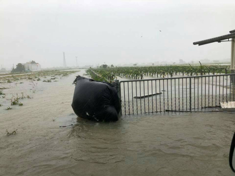 台南三分之三行政區都列為一級淹水警戒區，農田全都淹成了漁池！   圖：黃博郎/攝