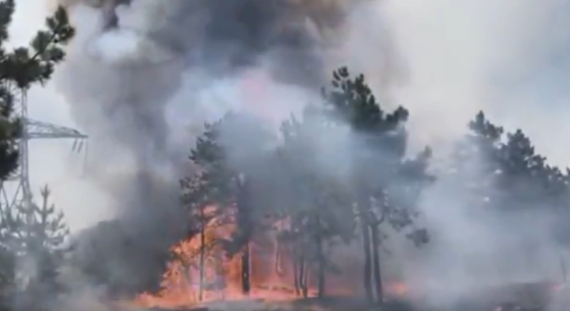 德國波茨坦（Potsdam）郊外超過400公頃面積的林區遭燒毀。   圖：翻攝自YOUTUBE