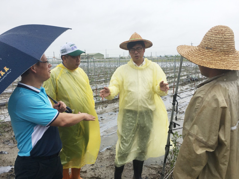 陳其邁今日一早與陳明澤議員前往路竹區下坑里關心雨後農損災情。   圖/陳其邁選辦