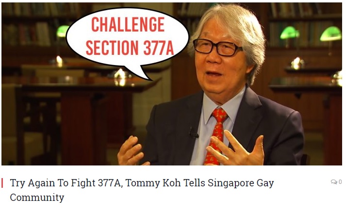 新加坡外交部無任所大使許通美今（7）日向同志社群喊話，敦促再度挑戰新加坡的同性性行為禁令。   圖：翻攝mustsharenews官網