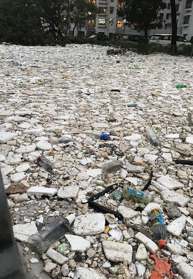 杏花邨充滿被海水沖上岸的垃圾。   翻攝香港突發事故報料區臉書