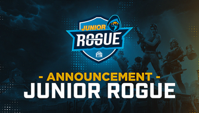 美國職業電競戰隊「Team Rogue」，與青少年線上教育平台「Find Your Grind」合作推出「Junior Rogue」計畫。   圖：翻攝Team Rogue