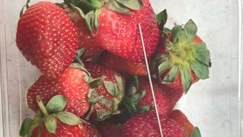 日前澳洲的草莓驚傳裡頭有針，使人吃下產生腹部劇痛，重創澳洲草莓農民。   圖：翻攝推特