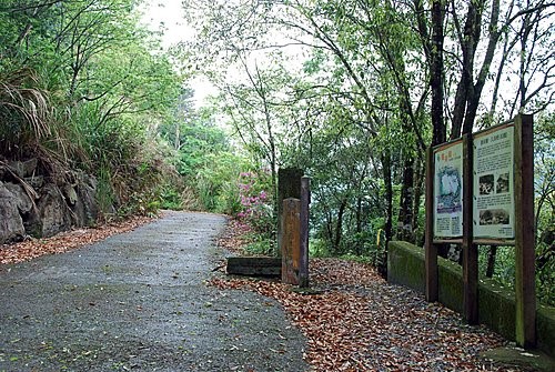 和平區德芙蘭休閒農業區生態步道風景   圖：台中市政府農業局/提供