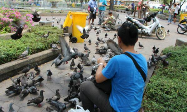 曼谷正在考慮對在公共場所餵食鴿子的人判處徒刑，以降低禽流感和其他疾病散播的風險。   圖 : 翻攝自funstory.org