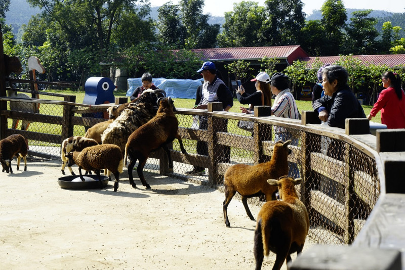 中埔的獨角仙農場可看到各種小動物。   圖：嘉義縣觀光局/提供