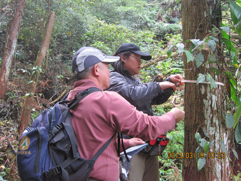 東勢林區管理處女性森林護管員賴秀芬（後）曾因八仙山事業區森林大火，歷經3天2夜不眠不休救災才換班休息，現在更是全台唯一一名女性森林機動救火隊長。   圖：林務局提供