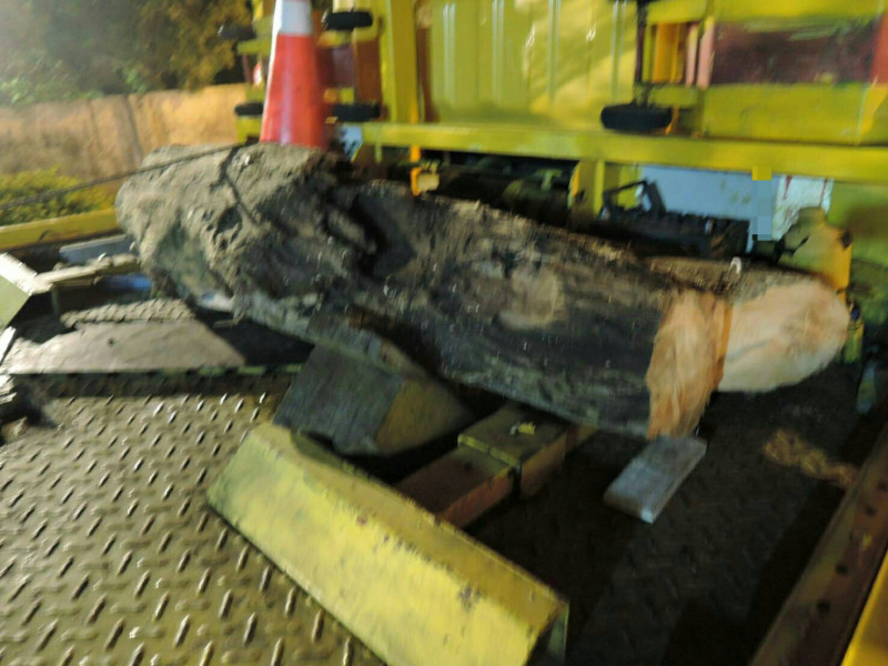 警方調查，拖吊車上放置的兩支木材是從國有林班地流出的台灣扁柏，屬國家公告的貴重木，分別長1.3公尺及1.1公尺。   圖：桃園警方提供