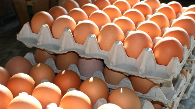 9月消費者物價指數（CPI）年增1.72%，其中雞蛋受3重因素影響，年增率衝上41.06%，創下126個月以來最大漲幅。   圖 : testifygod.com