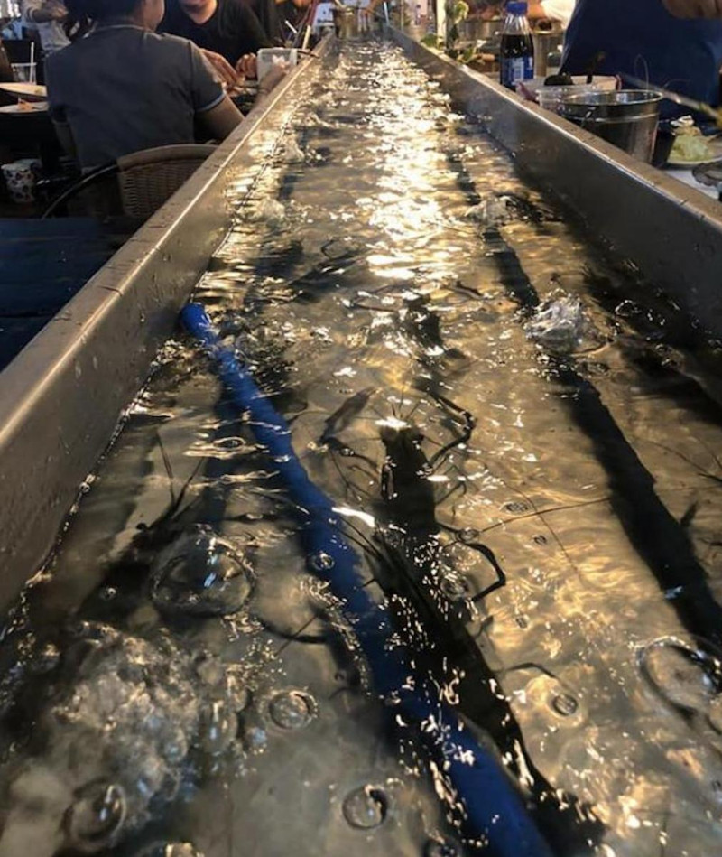 泰國曼谷近來流行「流水蝦」餐廳,店家會將蝦子放入長 11 公尺的水道,讓顧客享受「邊夾邊吃」的樂趣。 圖/翻攝自臉書