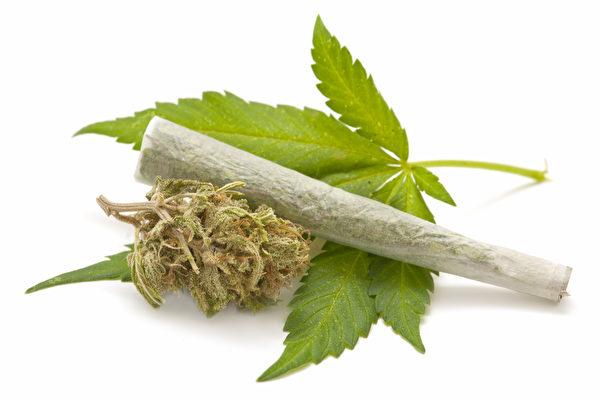 加拿大大麻即將於本月17日合法化。   圖 : 翻攝自photolia