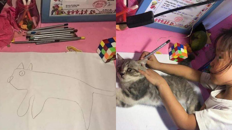 學校出的作業要妳回家畫貓，最後變成把貓抓來畫。   