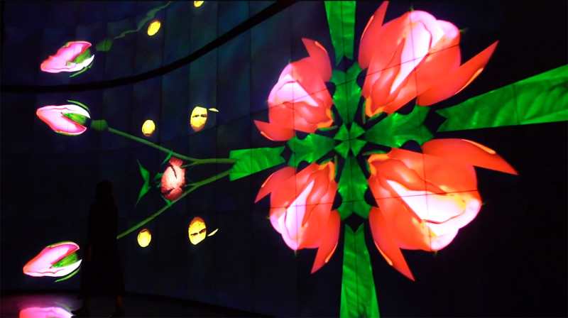 微觀視界則是透過全台最大556吋顯示器拼接牆，展現花卉與花粉舞動的獨特動態影像。   圖：截自2018台中花博友達微美館影片