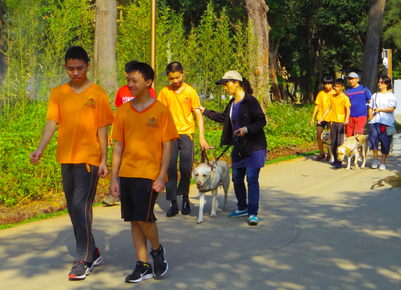 孩童跟著導盲犬一起遊花博。   圖：台中市教育局／提供