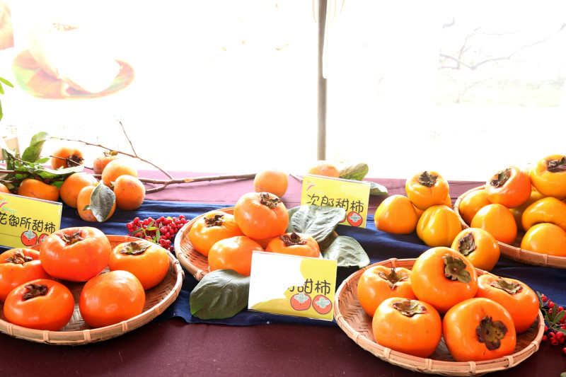 番路柿子節展出柿農的成果。   圖：嘉義縣政府提供