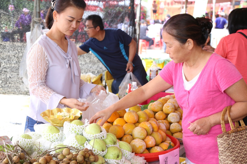 每年10月上市的柿子，是嘉義縣最知名的經濟作物之一，吸引民眾選購。   圖：嘉義縣政府提供