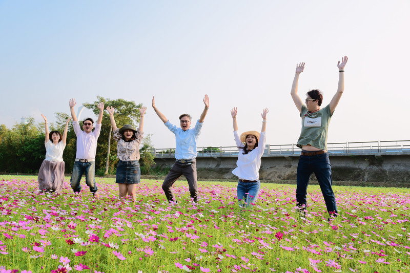 關渡平原花海秘境。   圖：台北市政府工務局／提供