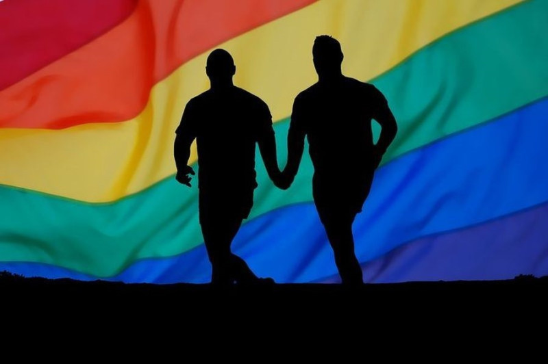 哥斯大黎加憲法法院做出判決，同性伴侶最慢2020年中開始將享有結婚權利。   圖：翻攝pixabay圖庫