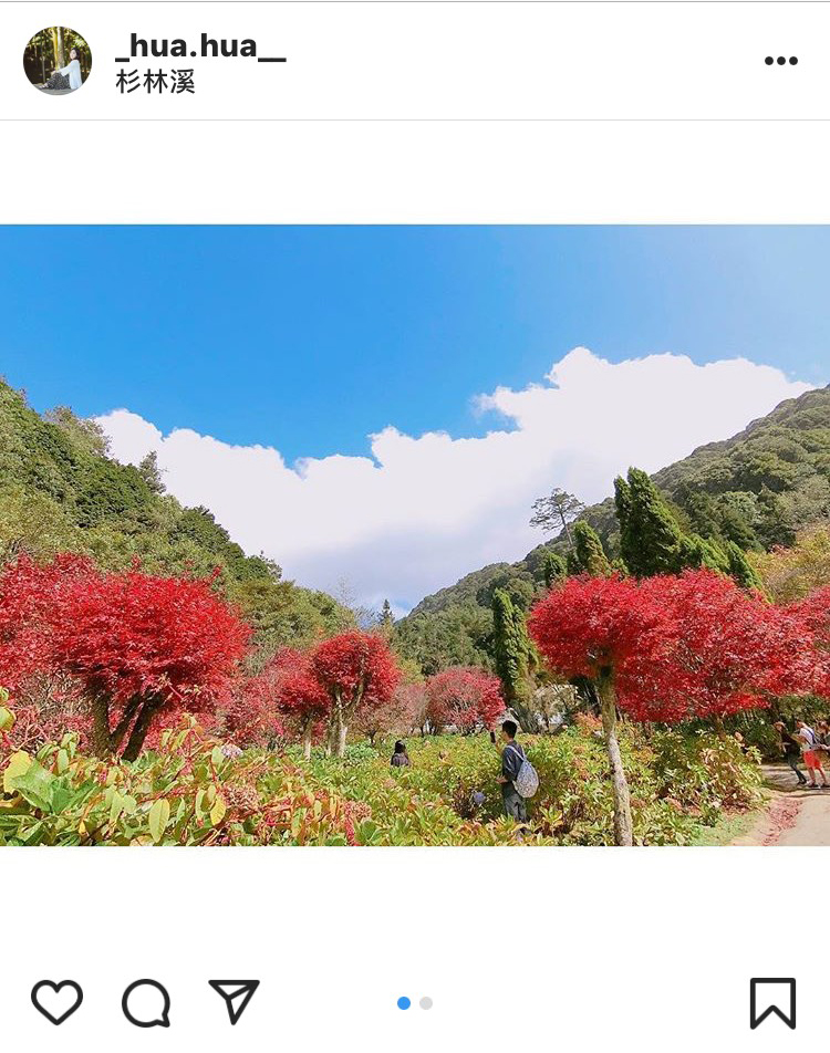 「杉林溪森林遊樂園區」的楓紅，也是拍照打卡的熱點。   圖：翻攝自instrgram／_hua.hua__ 開放權限