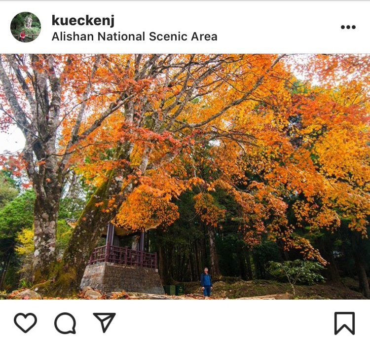 「阿里山森林遊樂區」不只可以看神木，也能賞楓葉。   圖：翻攝自instrgram／kueckenj 開放權限