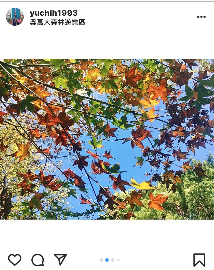 「奧萬大森林遊樂區」內橘紅搭配青綠的楓葉，也別有一番風味。   圖：翻攝自instrgram／yuchih1993 開放權限