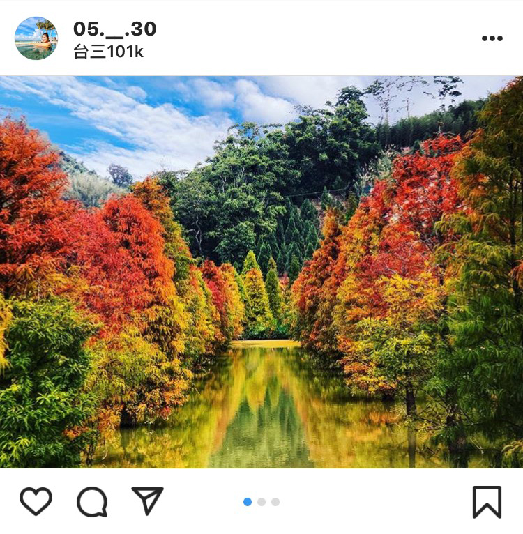 「三灣落羽松森林」由300多顆落羽松組成，是免費參觀的熱民景點。    圖：翻攝自instagram／05.__.30 開放權限