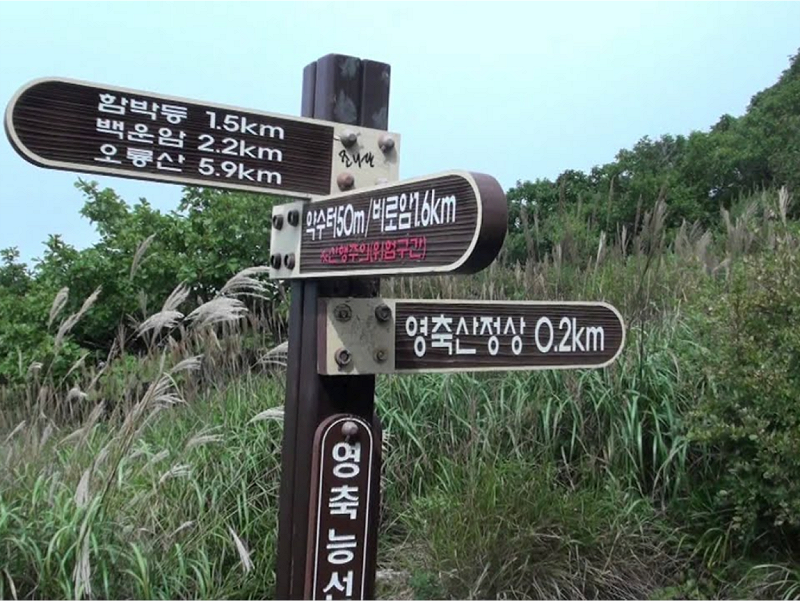 救難當局指出，這架直升機奉命前往撲滅附近靈鷲山（Mount Yeongchuk）的叢林大火，在首爾東部的漢江上空盤旋準備汲取江水時，失事墜江。   圖：翻攝自Youtube