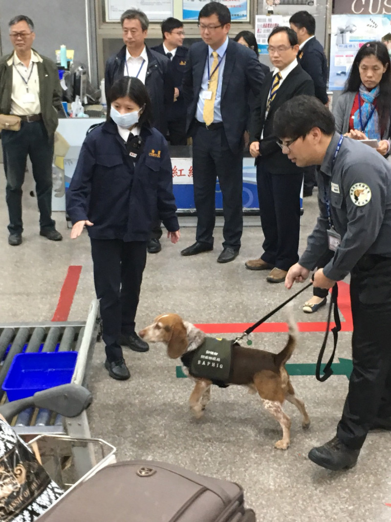 入境旅客通關行李查驗工作，及檢疫犬的執勤。   圖：農委會防檢局/提供