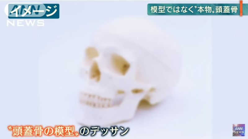 日本鹿兒島市甲南高校，日前傳出使用身分不明的人類頭蓋骨練習素描。   圖／YOUTUBE