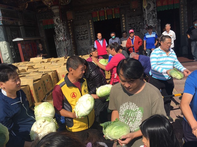 台南市議員林炳利買5萬斤高麗菜，在安南區幾間廟宇前免費發送給民眾。   圖：林炳利提供
