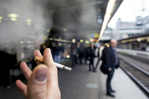 瑞典議會通過擴大戶外禁菸範圍，連火車月台也在禁止範圍內。   圖：翻攝瑞典議會