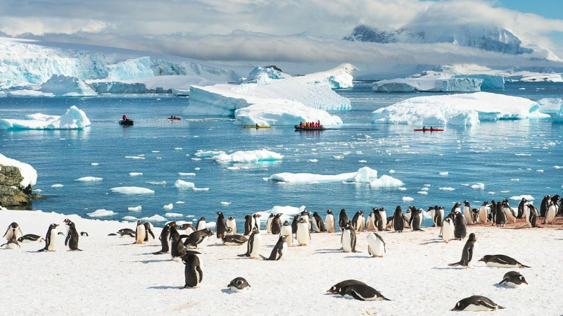 南極看似是個遙不可及的旅遊目的地，但只要找對方式就能一窺這塊大陸的神秘面紗。   圖／Rosebay Travel