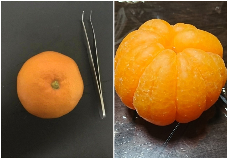 日本網友用將橘子白絲全拔掉，成果超療癒。   圖 / 翻攝自推特