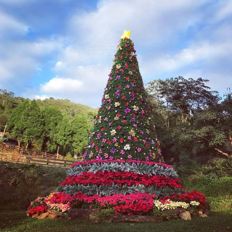 「2018桃園山城紅花節」在海拔550公尺打造以聖誕紅為主體、高度超過7公尺，號稱全台最高海拔的「耶誕紅樹」。   圖：翻攝「台七桃花源休閒農業區」粉絲專頁