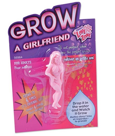 「Grow a Girlfriend」(女友養成玩具)在亞馬遜上賣 4 到 7 美金，約臺幣 220 元以內。   圖 / 翻攝自亞馬遜