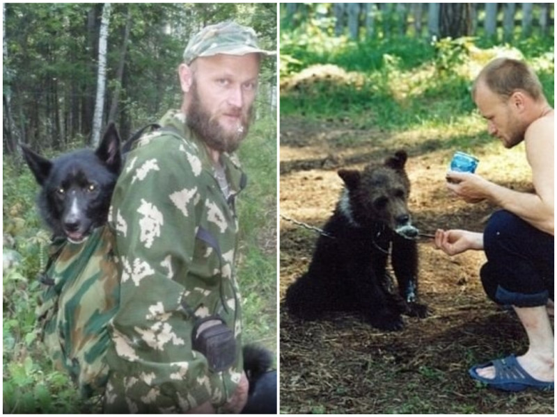 俄羅斯發生一件慘案，而兇手是死者所養的棕熊。   圖 / 翻攝自每日郵報