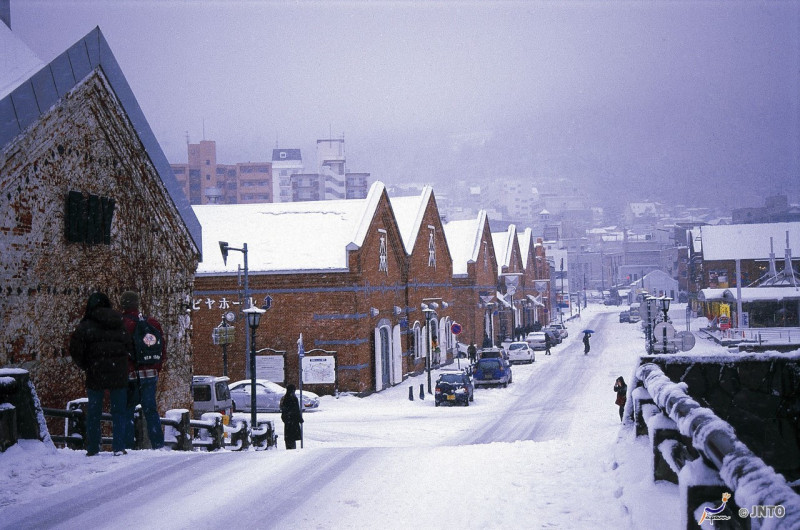 強烈冷氣團襲日，北海道地區受暴風雪影響，交通受阻。   圖／翻攝網路