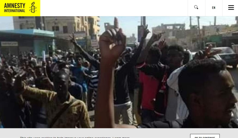 蘇丹人民抗議民生物資高漲到民不聊生，走上街頭要求現任總統下台。   圖：翻攝國際特赦組織官網