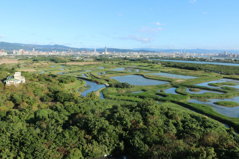 濕地風貌   圖：台北市動保處/提供