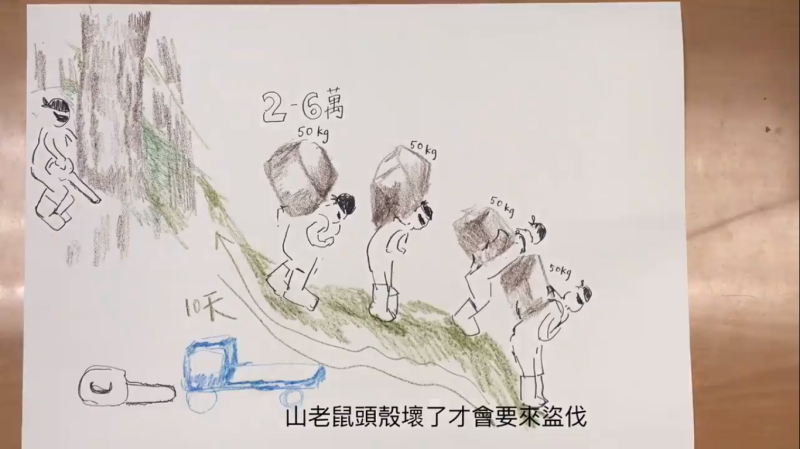 林務局貼出手繪影片解釋公開原始檜木林影像紀錄的初衷。   圖：翻攝自林務局影片