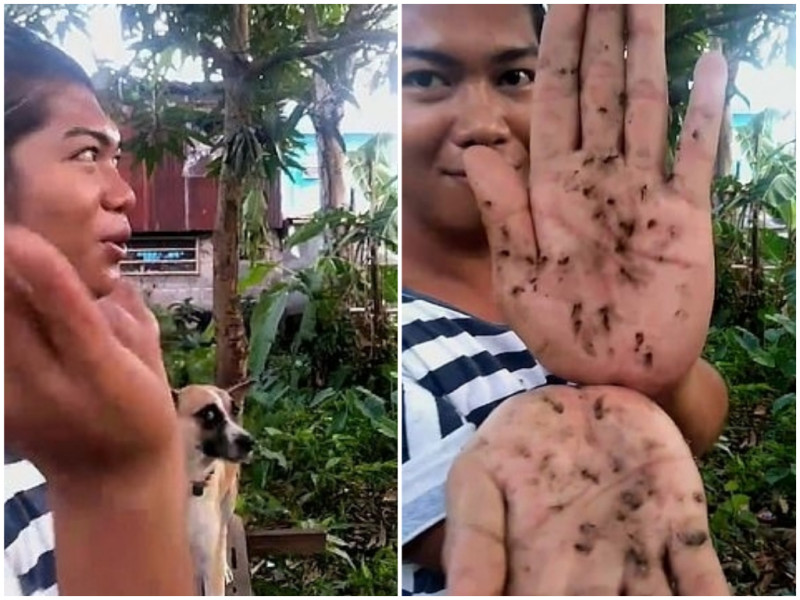 菲律賓男子杜蘭稱自己可以用音頻吸引蚊子，一拍掌就可殺死數隻。   圖 / 翻攝自每日郵報