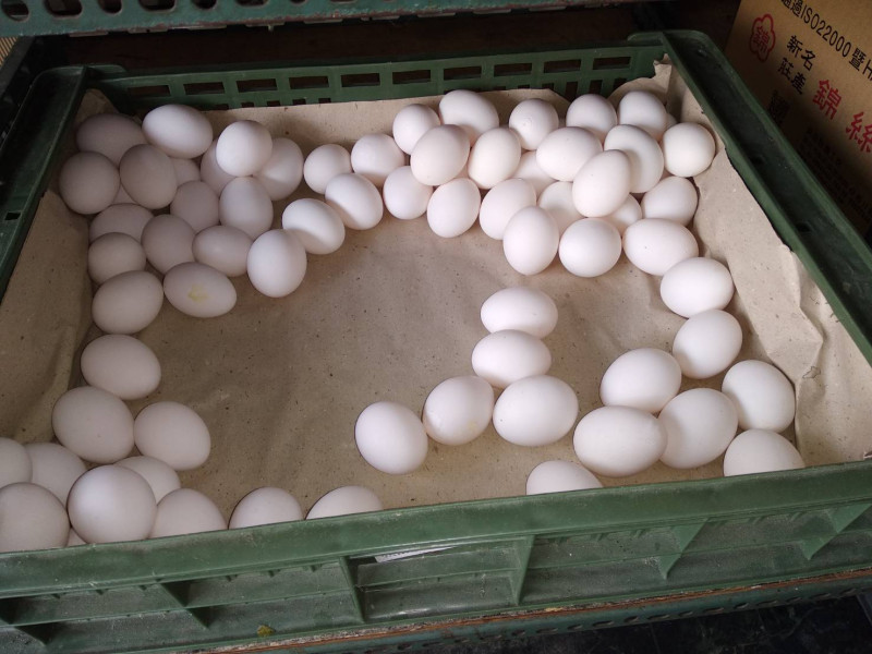 雞蛋價格飆破20年來新高，更有傳統雜貨店的散裝常溫蛋，本周開始也一口氣調漲4到6元。   圖／NOWnews資料照片